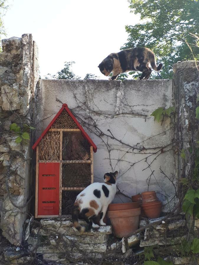 Au Chat Perche Mareil-sur-Mauldre Exteriér fotografie